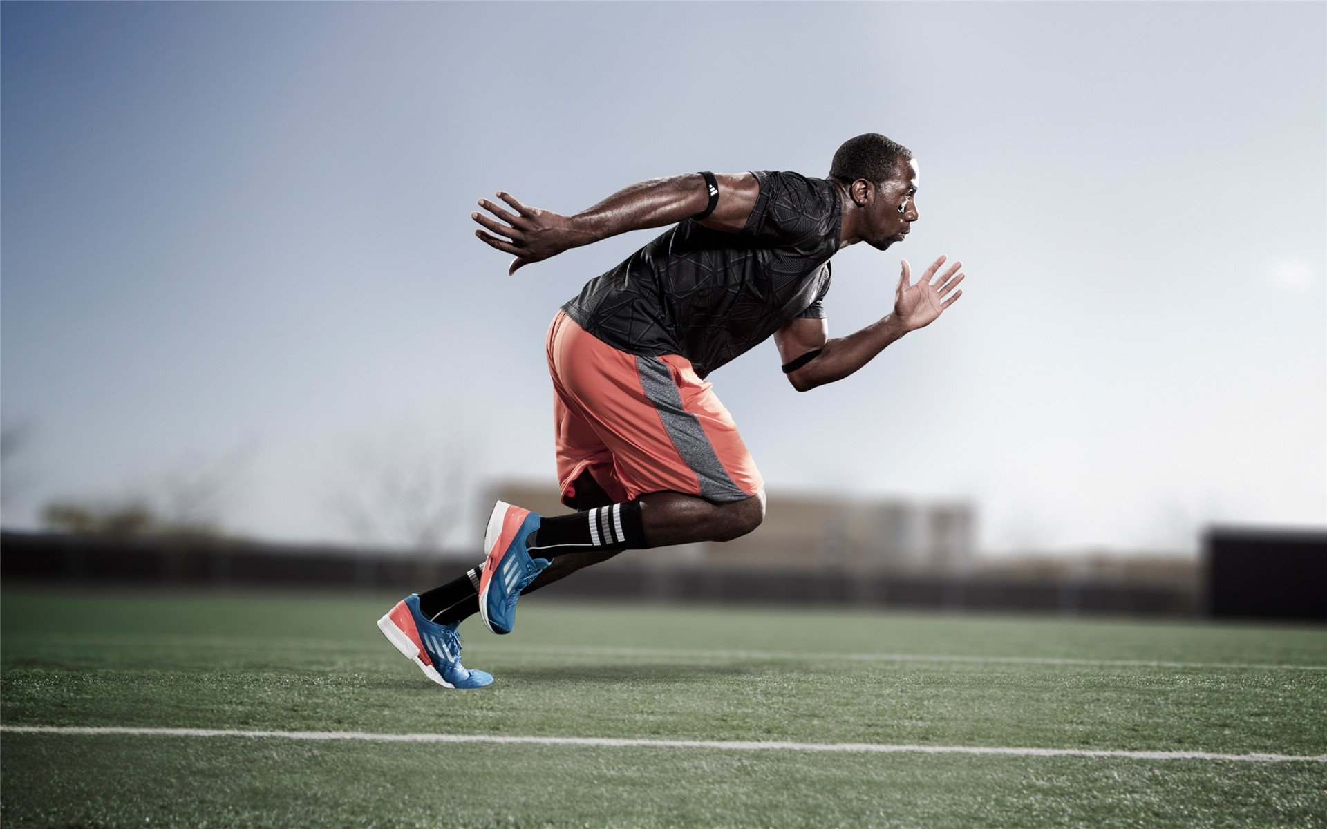 《Apex Legends》国际冠军赛预热,队伍拼搏影响力扩大,apex冠军版英雄